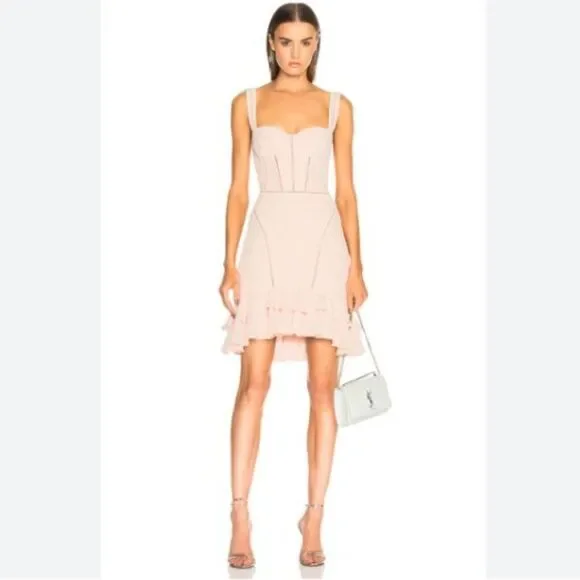 NWT. $795 Jonathan Simkhai Bustier Mini Dress Size 0 pink